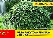 Odporúčame vám pozrieť si našu televíznu reklamu!
