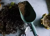Náradie na kyprenie pôdy, ktoré sa vám bude hodiť na jar v záhrade