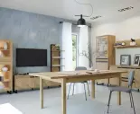 Solletico