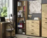 Napad na izbu s knihami