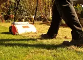 Co je to prevzdusnovanie travnika?