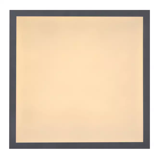 Stropnica 416080D1 LED 12W 30X30 PL1