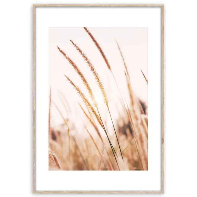 Artbox Digi 50x70 Ab078 Grasses I