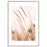 Artbox Digi 50x70 Ab078 Grasses I
