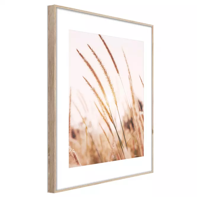 Artbox Digi 50x70 Ab078 Grasses I,2