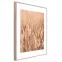 Artbox Digi 50x70 Ab079 Grasses II,2