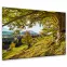 Obraz Glasspik 80x120 St545 Green Tree,2