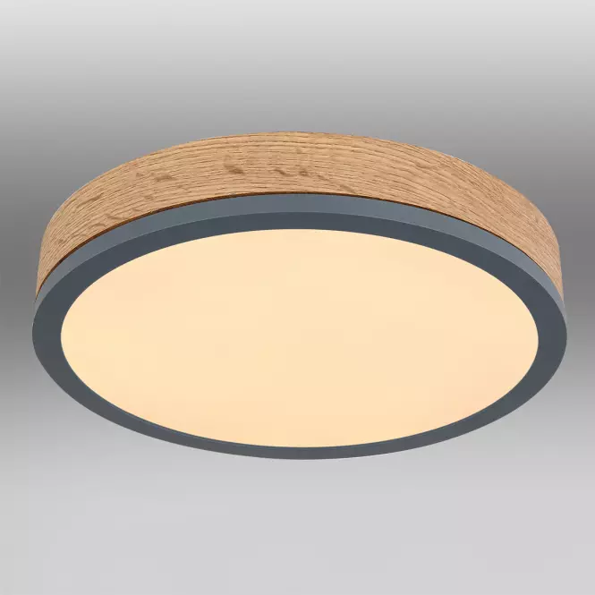 Stropnica 416080WD1R LED 12W grafit PL