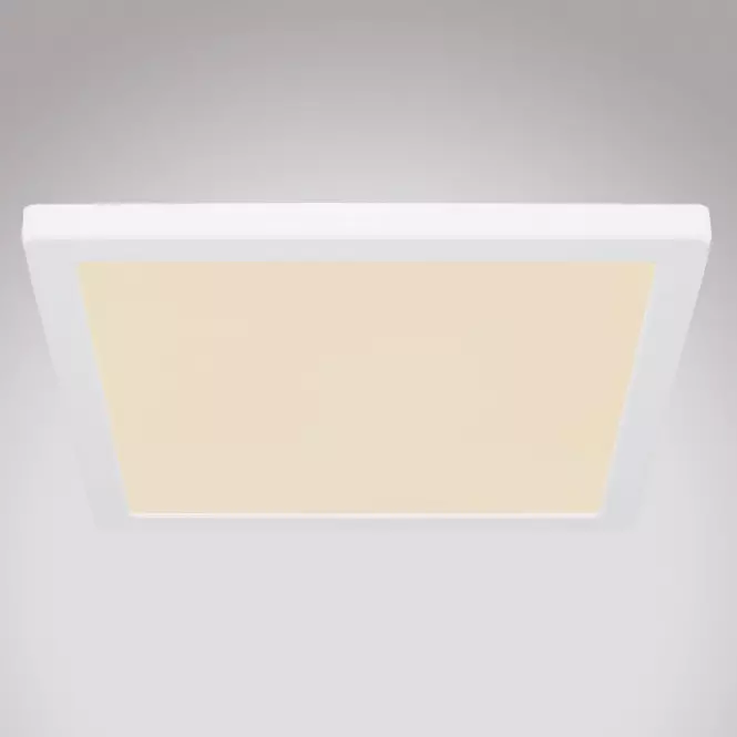 Stropnica 12380-24W LED 24W biely PL