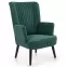 Kreslo Delgado zelená/čierna,6