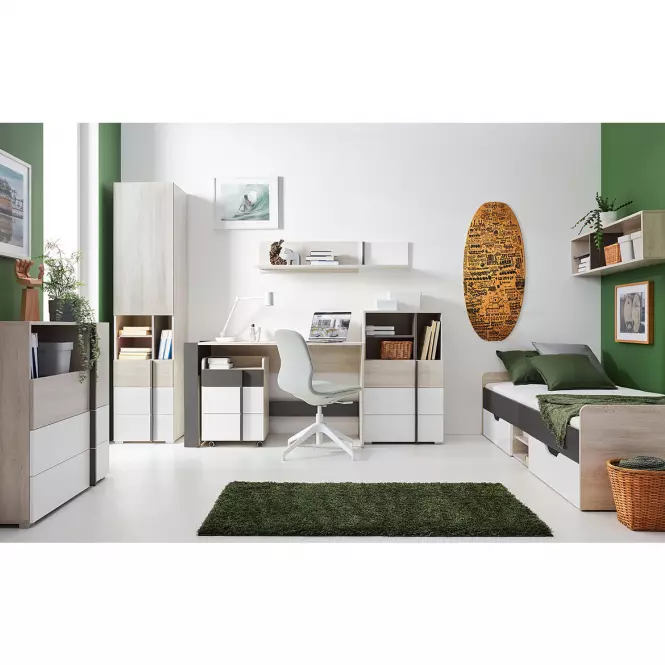 Posteľ 120 Remo RM16 dub wilton/biela/antracit