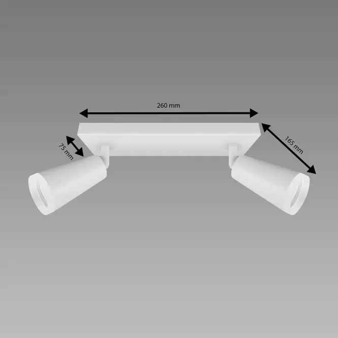 Stropné bodové svietidlo SANA GU10 2L WHITE 04143 LS2
