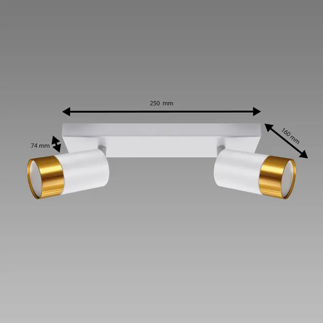 Stropné bodové svietidlo  PUZON SPT GU10 2L WHITE/GOLD 04124 LS2