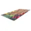 Koberec Print Pera Cherie 0,67/2,2 05017(01),3