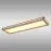 Stropné svietidlo prisadené 41589D4 LED PL1