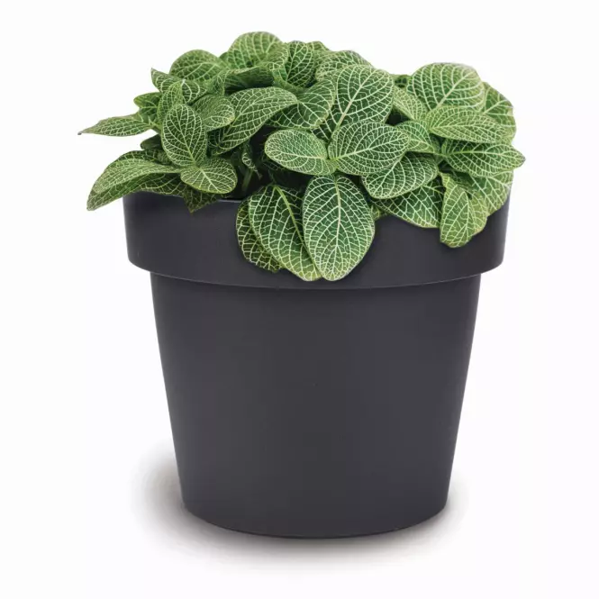 Kvetináč Melrose 35x29h 18lt Antracit Ma250
