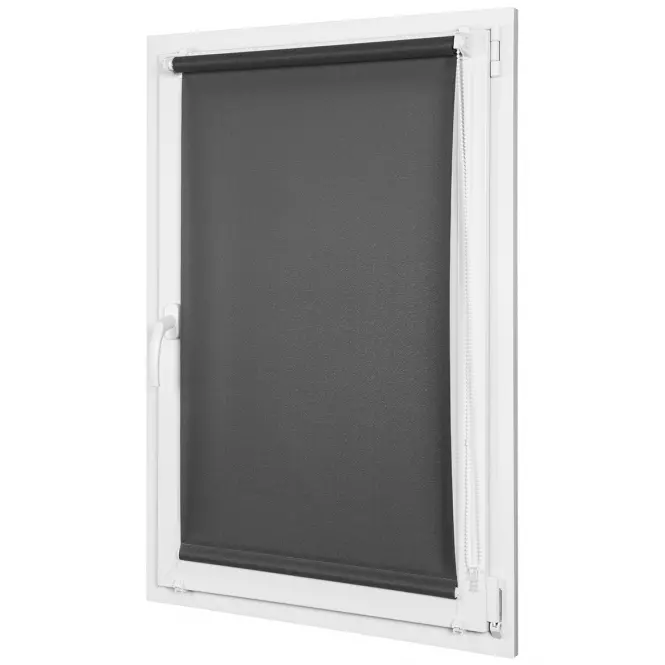 Roleta Mini Lech 68/215 2117