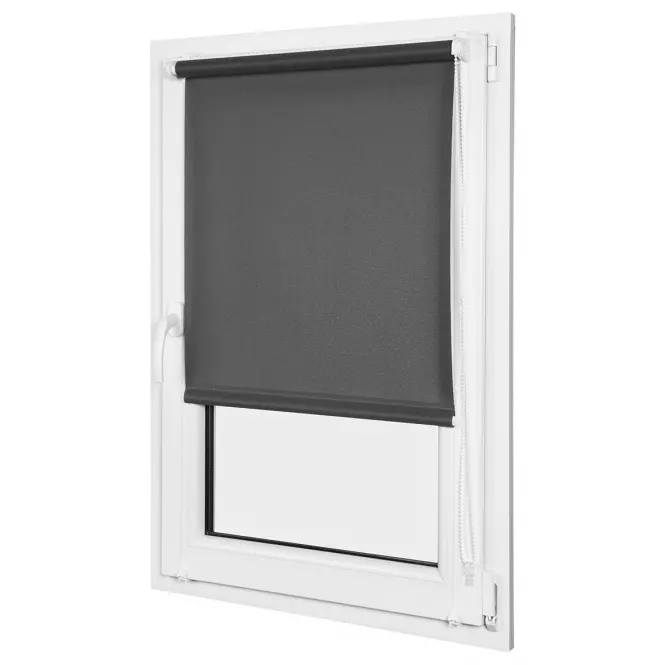 Roleta Mini Lech 68/215 2117