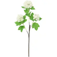 Vetvička kaliny 60 cm