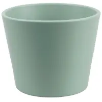 zelená