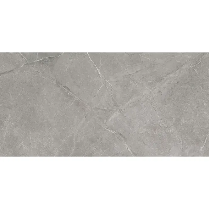 Wermex Light Grey 59,8/119,8