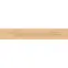 Oceanwood (GPT1116) Warm Beige 19,8/119,8,5