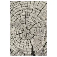 Koberec Frisee Phoenix 1,2/1,7 6021 244