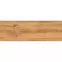Lemos Brown 20/60,9