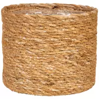 Kôš 508/13 NUT
