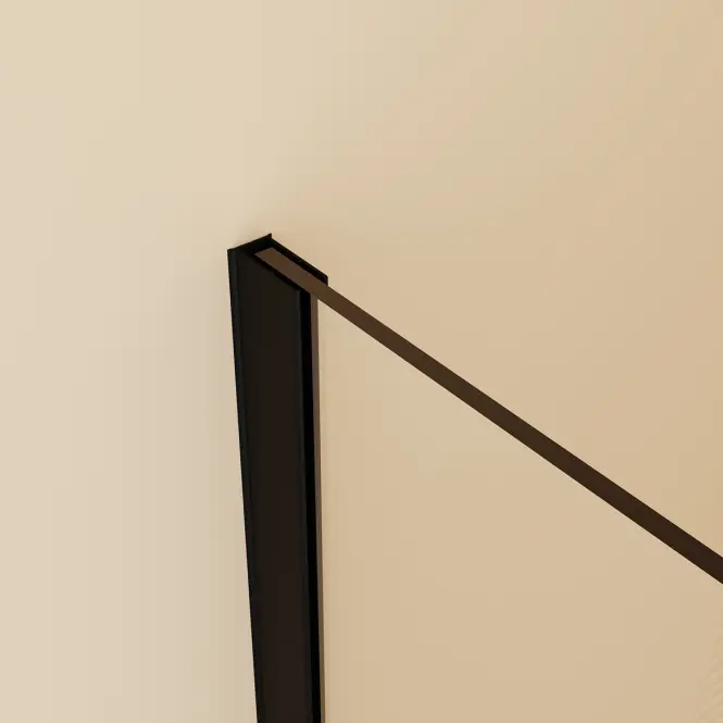Sprchová stena Walk-In Zum 100x195 black