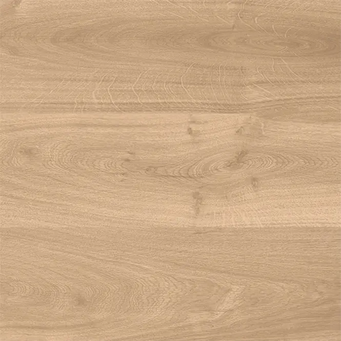 Latina Beige 60/60/2
