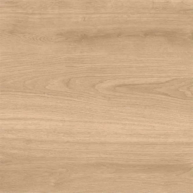 Latina Beige 60/60/2