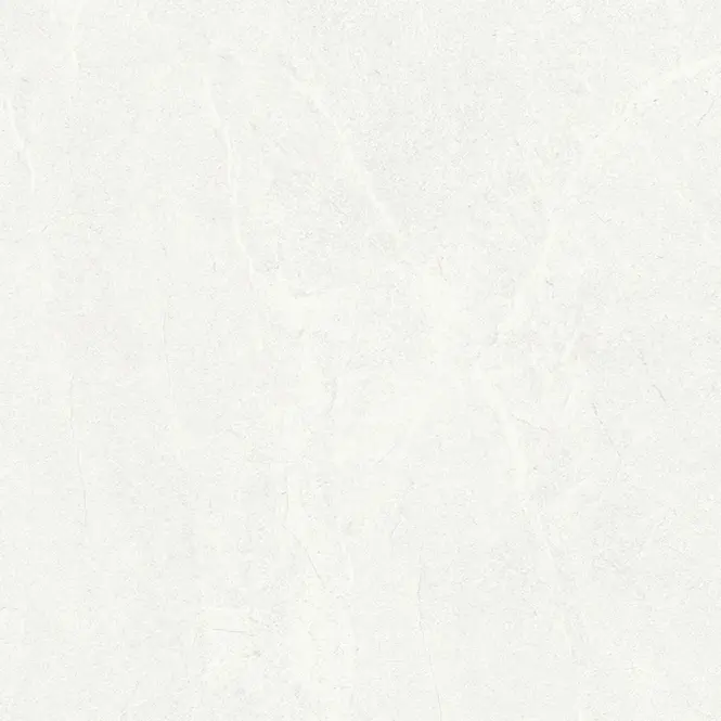 Terra Blanco 60/60