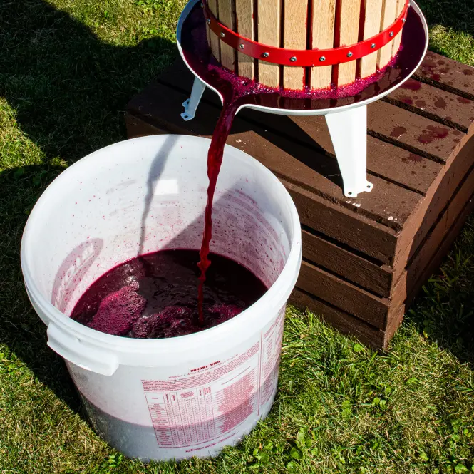 Vínne kvasnice burgund bez rozmnožovania - 20 ml