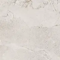 Tristan Cream 42/42