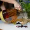 Demižón dama 5 l s výpletom s uzáverom na závit,5