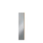 Front Skrine So zrkadlom Moduklix 226,9x49,4 Dub Mauvella