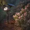 Solárna lampa PUNKTOWA VO0319