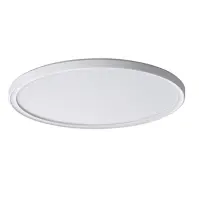 Stropnica LED 66070 22W WHITE O PL1
