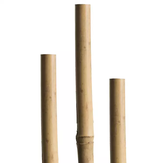 Bambusová tyč 90 cm 6/8 mm 7 ks 05607