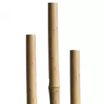 Bambusová tyč 120 cm 8/10 mm 5 ks 05608