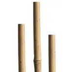 Bambusová tyč 180 cm 12/14 mm 05610