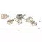 Luster 54356-5 LW 5,3