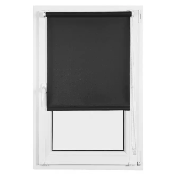 Roleta Mini Lech 57/150 2091