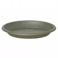 Podmiska okrúhla 11.5 cm dry green