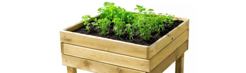 Hnojivá na zeleninu a ovocie- Merkury Market